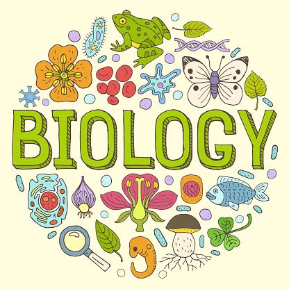 Biology Background Stock Illustration - Download Image Now - iStock