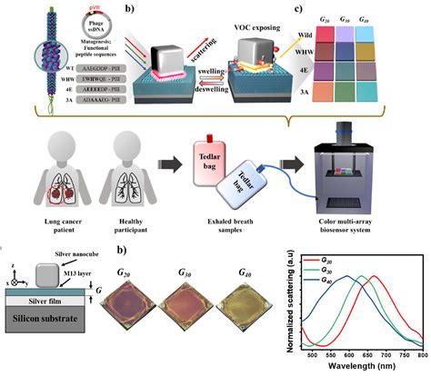 News On Plasmonic Bio-sensing | Magnetoplasmonics Lab