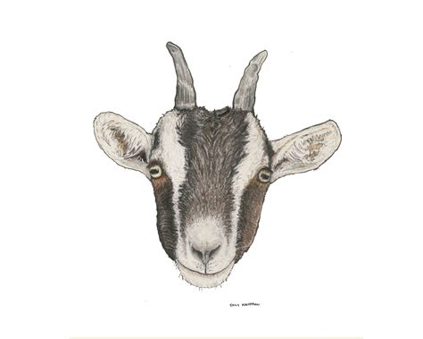 Goat Colored Pencil Drawing - Etsy