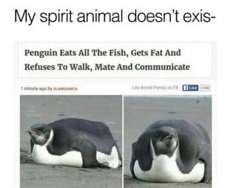 *sad penguin noises* : r/EDanonymemes