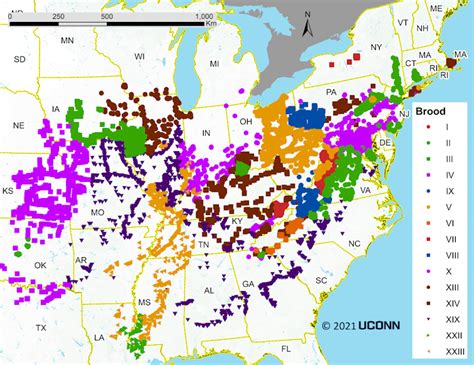 Billions of Cicadas May Be Coming Soon to Trees Near You - Nextgov/FCW