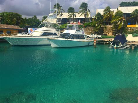 A Fun Day at Curacao Sea Aquarium – CLOSET FULL OF DREAMS