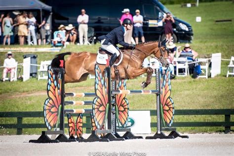 Specialty Show Jumps — Brody Robertson Show Jumps | Show jumping, Horse jumping, Jump