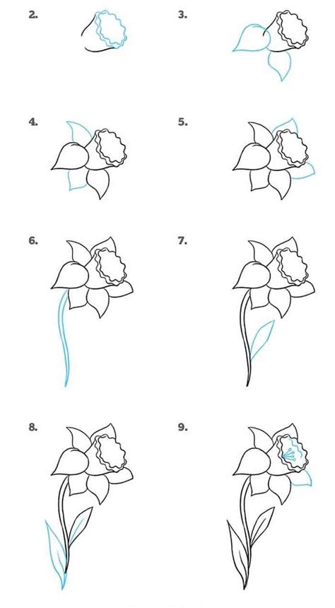 how-to-draw-a-daffodil-step-by-step-drawing-diy-tutorial-white ...