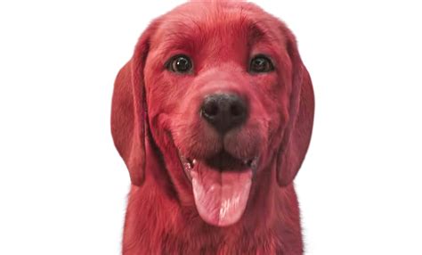 'Clifford The Big Red Dog' Movie Teaser Reveals A Big CG Red Dog And Fans Don't Know How To ...