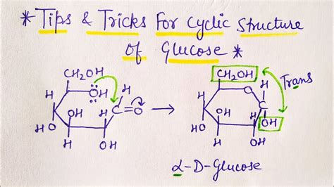 Aggregate more than 146 draw the structure of glucose latest - seven.edu.vn