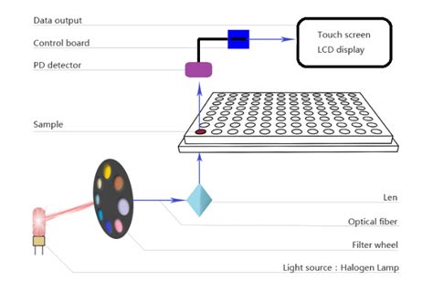 Microplate Reader