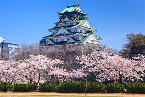 390+ Osaka Castle In Cherry Blossom Season Stock Photos, Pictures ...