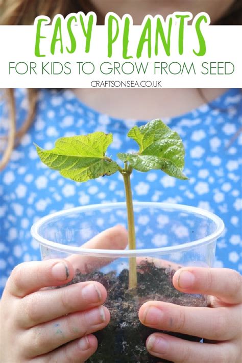 8 Easy Plants Kids Can Grow From Seed - Crafts on Sea