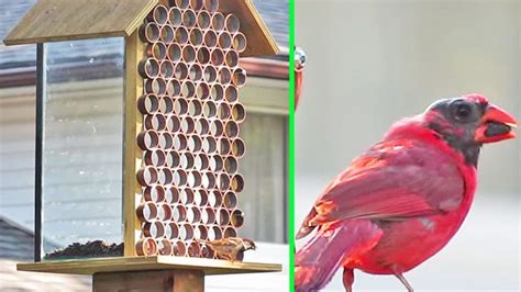 This Squirrel-Proof Bird Feeder Couldn't Be Easier To Make - DIY Ways