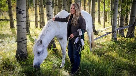 Deadly horse fever outbreak declared in Alberta | CBC News