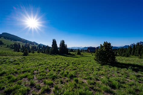 Exploring Sunrise: Mount Rainier's Northeast Corner - Travelffeine