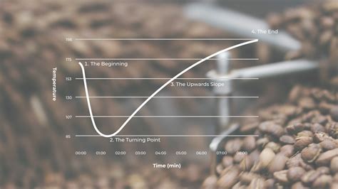 Understanding the coffee roasting curve | Roast the coffee | Everything About Coffee