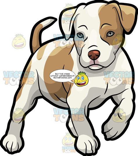 Pitbull Puppy Drawing | Free download on ClipArtMag