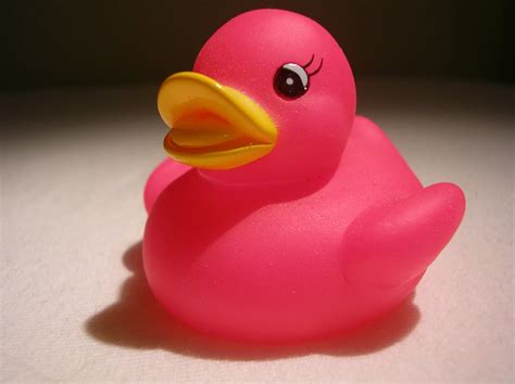 Tine's Rubber Duck Collection: small and pink