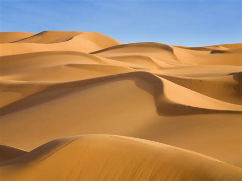 Amazing Desert Landscapes - Taste Full Tours