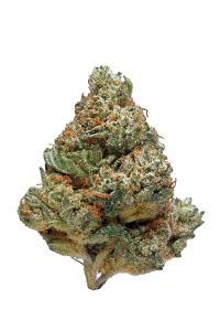 White Lightning Strain - Hybrid Cannabis Review, CBD, THC : Hytiva