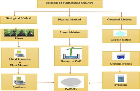 Green synthesis of copper oxide nanoparticles for biomedical ...