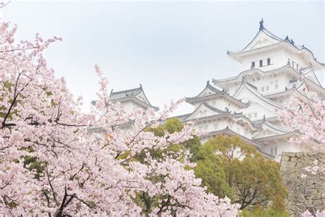 Osaka is Japan's new tourist hot spot for Asian visitors - News - The ...