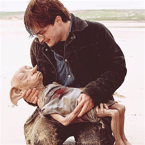 Did you cry when Dobby died? | Dobby harry potter, Harry potter films, Harry potter