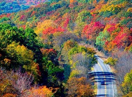 talimena scenic drive fall foliage 2021 - Notorious Log-Book Photo ...