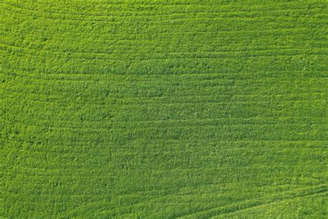 An aerial view of a green grass field photo – Free Texture Image on Unsplash