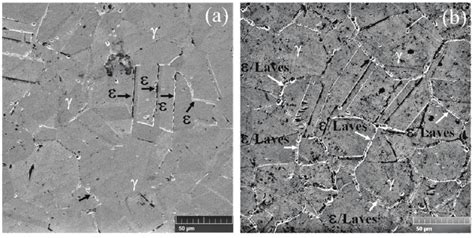 Microstructure of 0.4% Mo austenitic stainless steel: (a) aged at... | Download Scientific Diagram