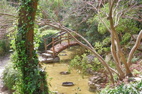 Zilker Botanical Garden in Austin, Texas | Nutty Hiker Adventures