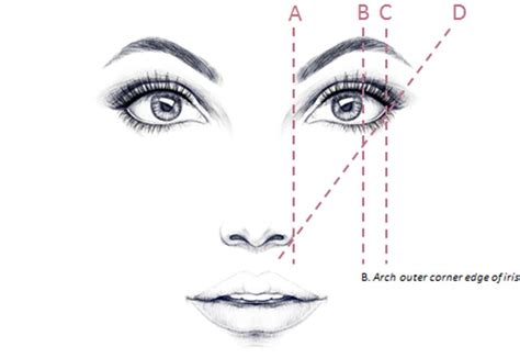 How to shape your eyebrows - simple shaping rules