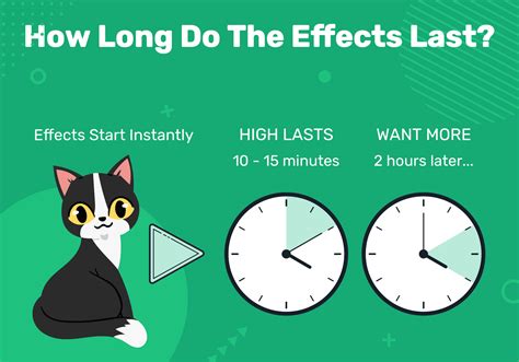 How Long Does Catnip Take To Kick In? Effects & Tips - Excited Cats