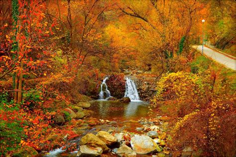 Download Colorful Fall Forest Nature Waterfall HD Wallpaper