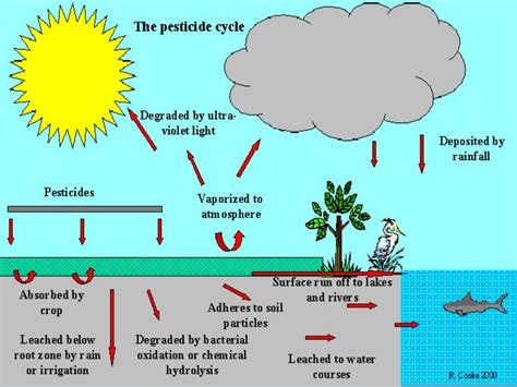 The use of alternatives to pesticides other than chemicals.