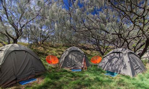 Fraser Island Camping - QLD Travel