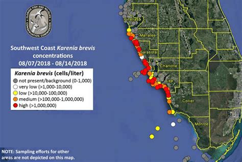 Gov. Scott Issues Emergency Order for Red Tide - Florida Trend