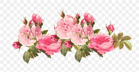 transparent pink flower png - Clip Art Library