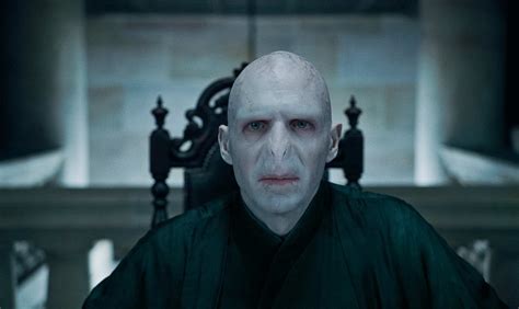 Voldemort - Harry Potter Photo (33972802) - Fanpop