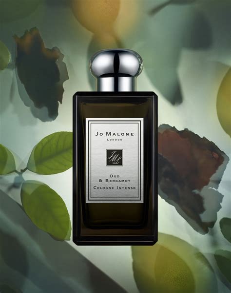 Jo Malone London Oud & Bergamot Cologne Intense 100 ml | Beautylish