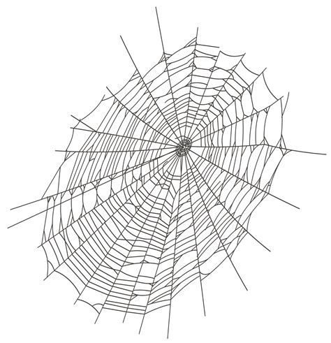 spider web transparent png 10 free Cliparts | Download images on Clipground 2024