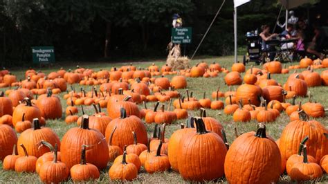 Brookgreen Gardens kicking off fall season with annual festival