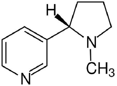 Nicotine Molecule Structure