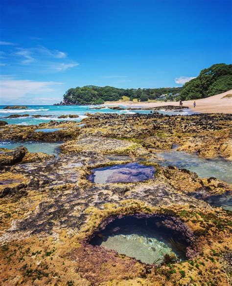 The east coast of the Coromandel Peninsula has some of the best beaches, our favourite being ...