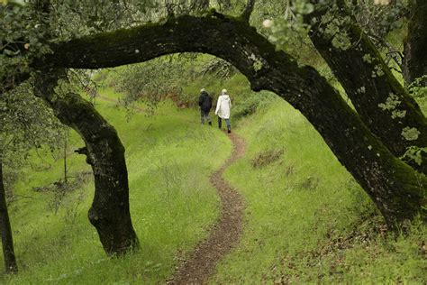 A sip-and-step guide to hiking the Napa Valley | Napa valley, Hiking, Napa