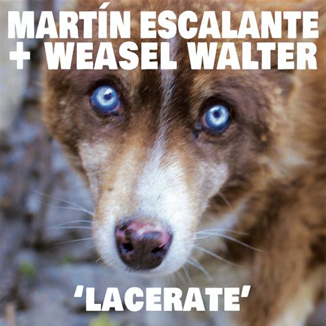 Lacerate | Martin Escalante + Weasel Walter | Weasel Walter