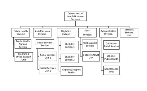 Department Of Health Care Services Org Chart