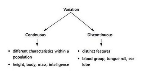 Continuous, discontinous - Biology Notes for IGCSE 2014