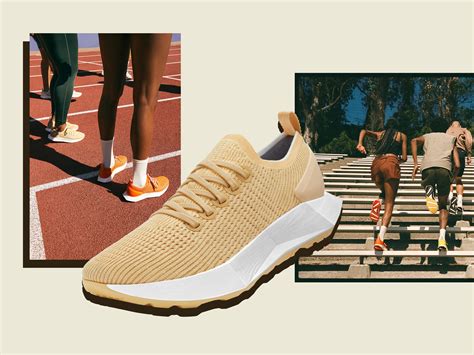 Allbirds Eucalyptus Shoes Shop | bellvalefarms.com