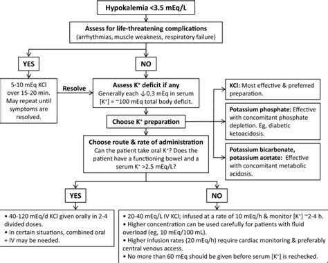 A Physiologic-Based Approach to the Treatment of a Patient With Hypokalemia - American Journal ...