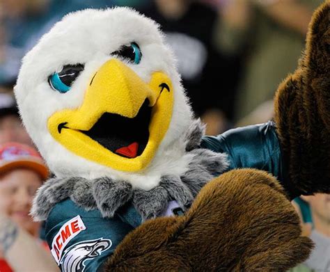 Philadelphia Eagles Mascot - Her Sports Corner