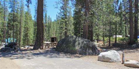 Donner Memorial State Park Campground - camping in California