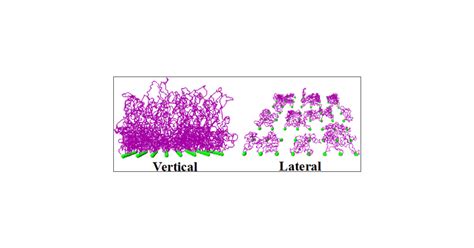Surface Morphologies of Planar Ring Polyelectrolyte Brushes Induced by ...